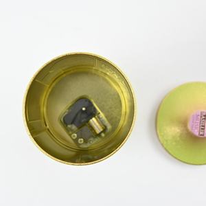 Scatola Musicale in Latta, Carillon in Latta, Giostra Musicale in Latta a Otto Toni, Confezione Regalo in Latta - Product Image 2