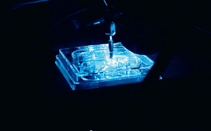 Doppellampen-<span class=keywords><strong>LED</strong></span>-Lichtkopf für flexible Fluoreszenzkartierung mit unabhängiger oder synchroner Steuerung - Product Image 6