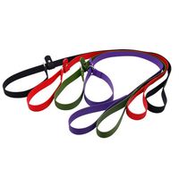Laisse d'entraînement pour chien en chaîne P, sangle en toile solide et enduite, durable, extérieure, taille personnalisée, imperméable, traction en PVC, antidérapante, nylon, toutes saisons