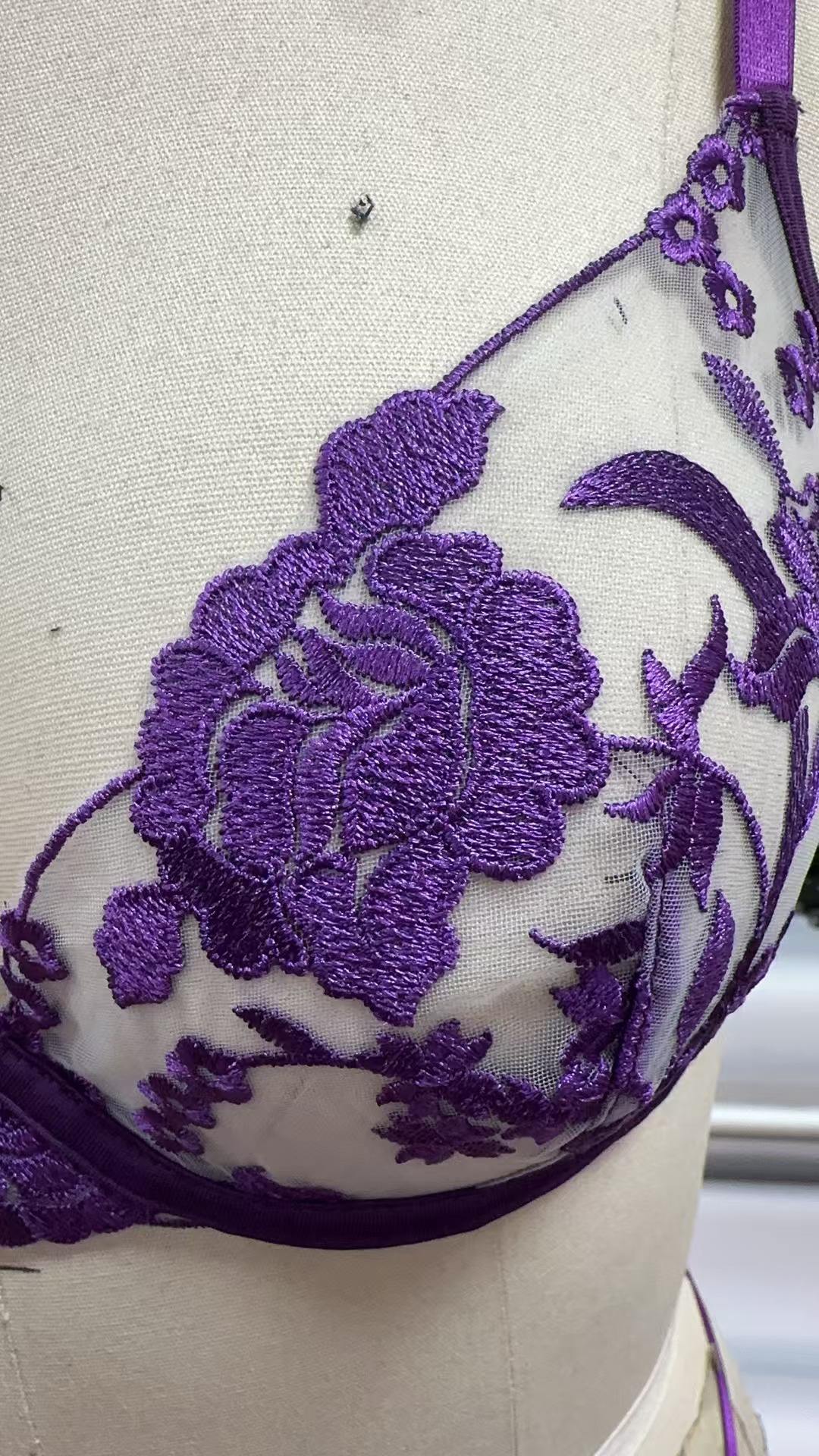 Wholesale Young Lady Fancy Push up Embroidered See Through Bra Top Sexy Bandage Erotica Bra Panty Set