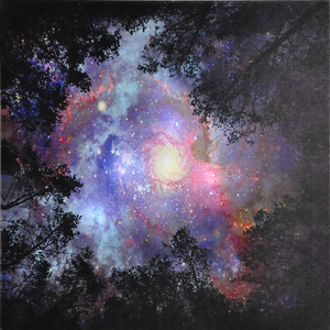 Dipinto artistico da parete con cornice esclusiva su misura per <span class=keywords><strong>fotografia</strong></span> di paesaggio - Product Image 4