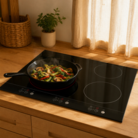 Carte de commande PCBA pour plaque de cuisson électrique vitrocéramique 5 zones, double relais par brûleur, double MCU, bornes plaquées or, OEM ODM pour cuisinière de restaurant