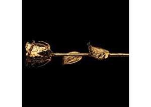 Luxury Real Natural 24K Gold Plated Gold Foil Rose Flower <b>Dipped</b> Decorative Gift Highly Shiny Affordable Luxury Rose Gift - Product Image 5