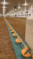 Équipement de système de plancher pour poulets de chair pour l'élevage de volailles
