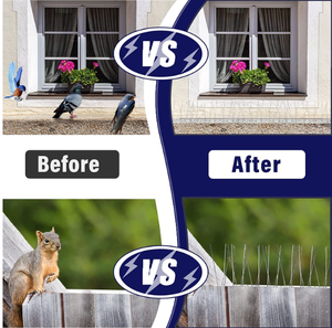 Kit de pointes Caltrops en acier inoxydable de 25 cm pour éloigner les chats, les écureuils, les pièges et les pigeons. - Product Image 6