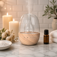 Diffuseur d'arômes en bois véritable en forme d'œuf, 30 ml, lumière RGB 7 couleurs, minuterie, USB-C, cadeau, maison, chambre, OEM, noyer rouge, bois naturel, 50 pièces