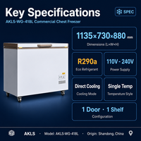 Congélateur horizontal pour supermarché, à température unique, à refroidissement direct, pour usage commercial et domestique