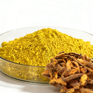 ผงสกัดจากต้นเบอร์เบอร์ริส อาริสตาต้า โคปติส ไชนีนซิส  สารเบอร์เบอร์รีน ไฮโดรคลอไรด์  อาหารเสริมเบอร์เบอร์รีน  ความเข้มข้น 50% 70% 80% 97% - Product Image 2