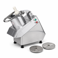 Machine à couper les légumes multifonctionnelle électrique commerciale Welldone, moteur pour fruits et légumes, acier inoxydable, 500W, 220V