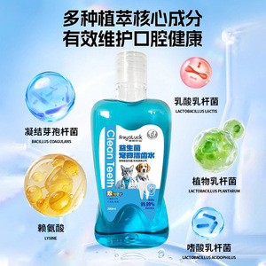 Enjuague Bucal para <span class=keywords><strong>Perros</strong></span> que se Puede Consumir para Eliminar el <span class=keywords><strong>Mal</strong></span> <span class=keywords><strong>Aliento</strong></span>. Agua Probiótica para la Limpieza Dental de Gatos que Puede Limpiar el Sarro - Product Image 3