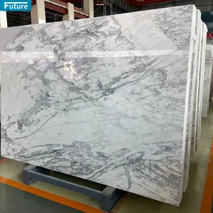 Luxury Italy Natural Gray Marble Slabs Arabescato Corchia Gray Stone Per Square Meters For Bathroom Wall Living Room