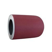 Bobine d'acier galvanisé prélaqué de différentes couleurs, personnalisée en usine, avec services de pliage et de découpe conformes à la norme BS