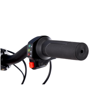 250W 36V 16 pulgadas Niños Sin Pedal Bicicleta, Scooter Eléctrico Powered Kids Baby self mini Balance Bike - Product Image 3