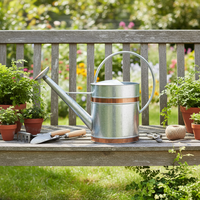 Arrosoir de jardin ovale en acier galvanisé Kimleyda 9L, écologique, avec poignée, couleur et logo personnalisables, vente en gros
