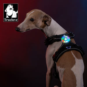 Truelove Night LED-Licht für die Sicherheit von Haustieren Wasserdichtes mehrfarbiges kabelloses Laden Hot <span class=keywords><strong>Selling</strong></span> Outdoor-Produkt Hunde zubehör - Product Image 1