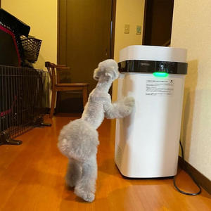 Airdog X5 Filtre à <span class=keywords><strong>air</strong></span> domestique Meilleur <span class=keywords><strong>purificateur</strong></span> <span class=keywords><strong>d</strong></span>'<span class=keywords><strong>air</strong></span> pour animaux de compagnie Odeurs de poils - Product Image 6