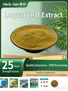 ビワ葉エキス10:1、陝西省信頼できるメーカー、在庫あり、ビワ葉粉末、食品グレード - Product Image 2
