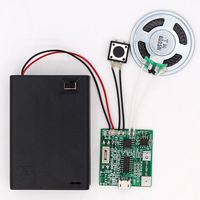 Pasivo Paych Cable Amplificateur 3 Módulo de reproductor Voi con altavoz Modul Usb Otg tipo C Contrata Audio para regalo Craft Toy