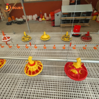 Système d'alimentation automatique direct usine pour poulets de chair avec moteur de vis sans fin et trémie, équipement avicole