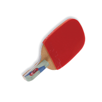 Haïtien D'origine usine moule développement produits pagaie de ping-pong personnalisation batte de ping-pong