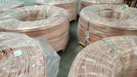 Einadriges PVC-Flexkabel, Sauerstofffreies Kupferkabel für Marine, Luft- und Schienenleitungen, Industrie und Hausgebrauch, 1,5mm 2,5mm 4mm 6mm 10mm 16mm, IP54-zertifiziert