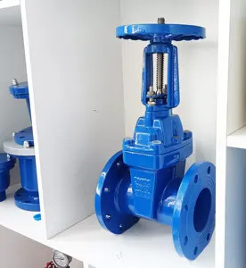 Sluice Gate Valve Rubber Soft Seal Iron Flanged Ends Gate Valve For Water