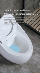 Уютный Большой размер Цельный керамический сифон для ванной комнаты - Product Image 6