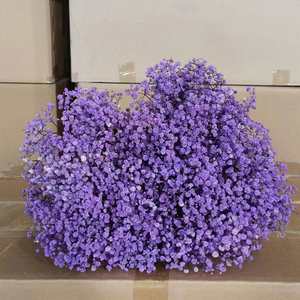 Decoración artificial <span class=keywords><strong>de</strong></span> diversos estilos para la decoración creativa <span class=keywords><strong>de</strong></span> la boda Gypsophila <span class=keywords><strong>Paniculata</strong></span> - Product Image 2