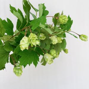 Ventes en gros de branches de lierre artificielles en soie avec baies, plantes vertes pour la décoration de bars et de pubs - Product Image 4