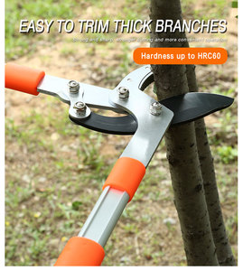 <span class=keywords><strong>Sécateur</strong></span> cueilleur de fruits haute portée avec longue poignée en aluminium <span class=keywords><strong>sécateur</strong></span> d'arbre de jardin avec poignée en plastique outils de jardin essentiels - Product Image 2