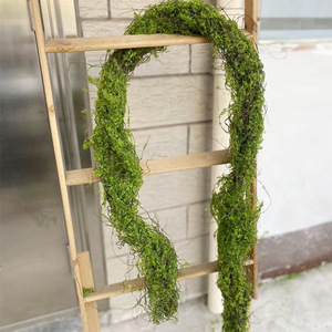 Guirlande de mousse artificielle longue et filiforme, <span class=keywords><strong>pour</strong></span> plafond, vitrine, vivarium, décor forestier - Product Image 6