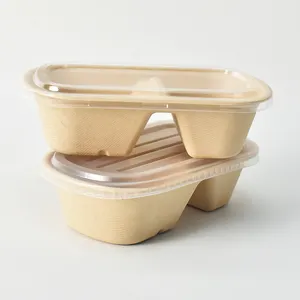 Amostra grátis recipiente de alimentos biodegradável caixas de alimentos de embalagem comida