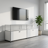 Mueble de Almacenamiento Modular Moderno con Paneles de Acero Inoxidable de Color para Oficina, Sala de Estar, Hogar, Mueble para TV