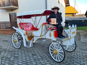 Voiture de tourisme électrique certifiée CE, chariot rétro sans chevaux, véhicule de navettage touristique à basse vitesse pour utilisation commerciale - Product Image 4