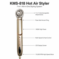 Sèche-cheveux et styler ionique 7-en-1 1400W à moteur sans balais 110 000 tr/min avec fonctions de lissage/bouclage, personnalisable OEM/ODM
