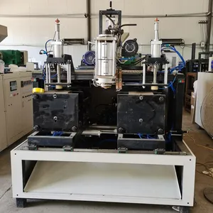 Plastic Flesmachine Met Plastic Poedervormige Blaasvormmachines