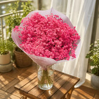 Bunga Gypsophila Baby's Breath Kering Terlaris untuk Dekorasi Vas Rumah, Buket Pernikahan, Kotak Hadiah, dan Rangkaian Bunga