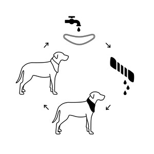 ICE BAND - Bandana rafraîchissant pour chien - Bleu - Product Image 6