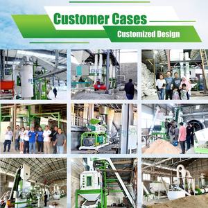 RICHI Civciv Yemi Pelet Yapma Makinesi CE Sertifikalı 1-2t/s Küçük Civcivler Tavuk Yemi Pelet Üretim Hattı - Product Image 4