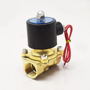 2W200-20 Lucht Gas Olie Water Slang Messing 2W AC220V AC110V DC12V DC24V Elektrische Solenoïde Gasventiel Normaal Gesloten 3/4 Inch - Product Image 2