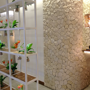 Dalles d'accentuation extérieures classiques en pierre calcaire naturelle blanche - Antidérapantes, résistantes à l'usure, design tropical pour murs et bordures de villas - Product Image 1