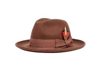 CL922201 Chapeau haut de forme unisexe en feutre 100 % laine, style mode, neuf, de marque CD, avec plumes de luxe, toutes saisons - Product Image 2