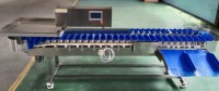 Automatische gewichtssorteermachine, industriële gewichtsselectiemachine voor vis, gevogelte, fruit en voedselverwerkingslijnen