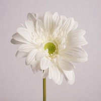 Bunga Gerbera Daisy Buatan Berkualitas Tinggi dengan Sentuhan Realistis untuk Dekorasi Pernikahan dan Rumah, Hiasan Meja Tengah