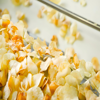 Friteuse industrielle commerciale entièrement automatique pour légumes, fruits, bonbons, frites surgelées, chips de pommes de terre, ligne de production 800 kg/h, qualité alimentaire 304