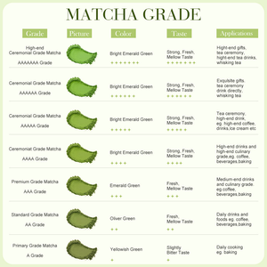Poudre de Thé <span class=keywords><strong>Vert</strong></span> Havenova Biotech OEM/ODM, Matcha Biologique en Gros Issu de Matcha Cérémonial - Product Image 2