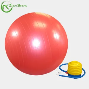 Zhenzheng-Bola de Yoga suiza, Logo personalizado, antiráfaga, duradera, ecológica, Extra gruesa