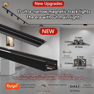 48V quang phổ đầy đủ dẫn chiếu sáng phong cách hiện đại cực kỳ hẹp từ theo dõi ánh sáng đường sắt trắng đen nhôm đèn cho phòng khách - Product Image 4