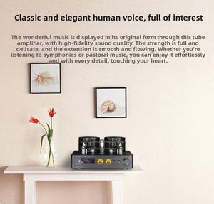 <span class=keywords><strong>Amplificador</strong></span> de Tubos Osun British Augsburg Fever, <span class=keywords><strong>Amplificador</strong></span> de Válvulas de Alta Potencia Hi-Fi, Bluetooth, Alta Fidelidad, Fibra Óptica, Coaxial - Product Image 2