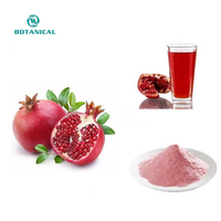 Bci Leveren Gedroogd Organisch Granaatappelpoeder Natuurlijk/Granaatappelfruitpoeder P.E.